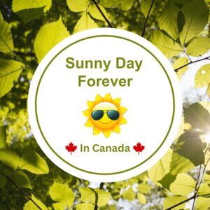 🍁About Us: Sunny Day Forever🍁